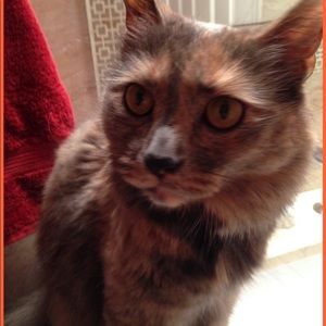 Meet your Posher, Whitney